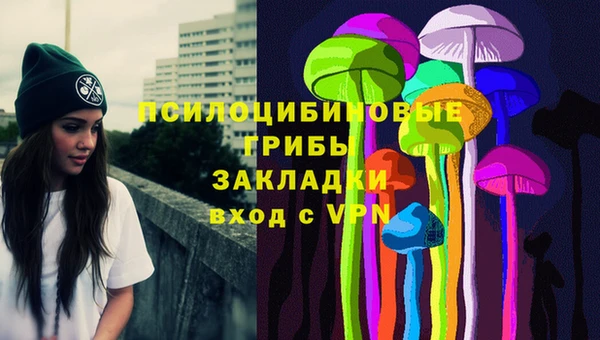 СК Аркадак
