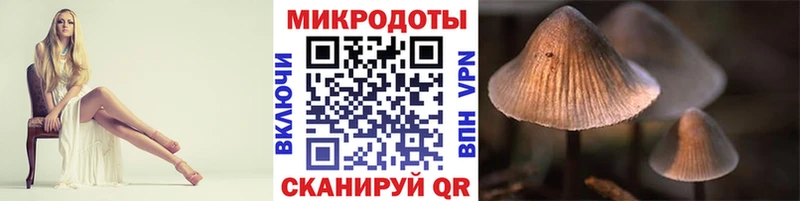 Псилоцибиновые грибы Psilocybe  Далматово 